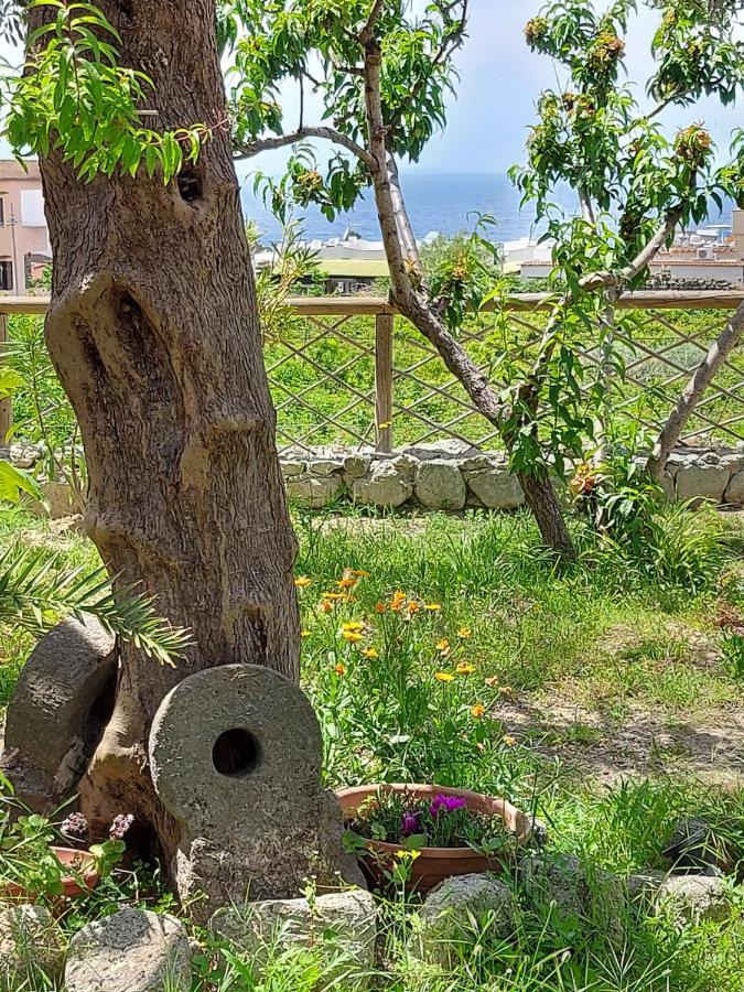 Villa Symphony Sea View Forio di Ischia Extérieur photo