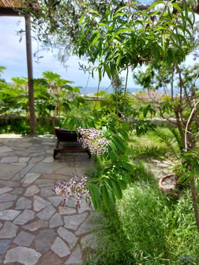Villa Symphony Sea View Forio di Ischia Extérieur photo