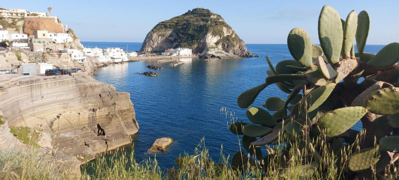 Villa Symphony Sea View Forio di Ischia Extérieur photo