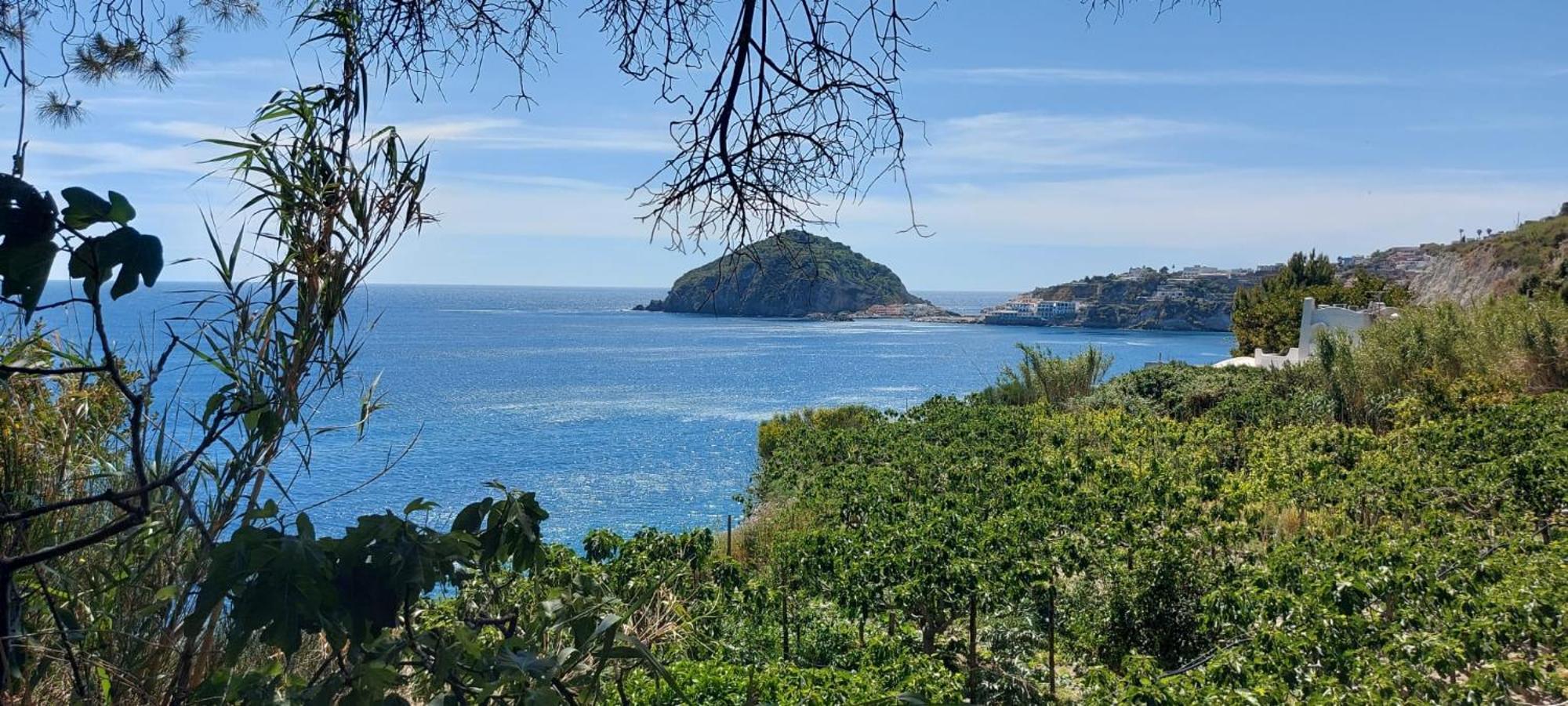Villa Symphony Sea View Forio di Ischia Extérieur photo