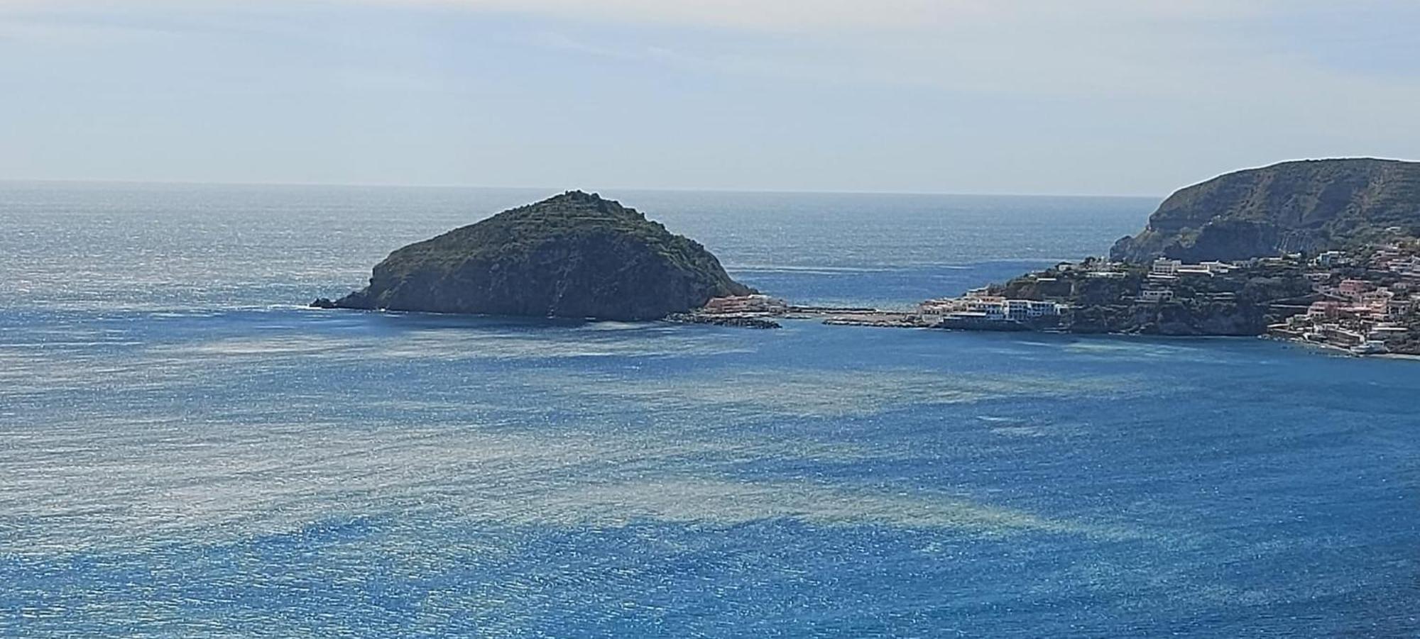 Villa Symphony Sea View Forio di Ischia Extérieur photo